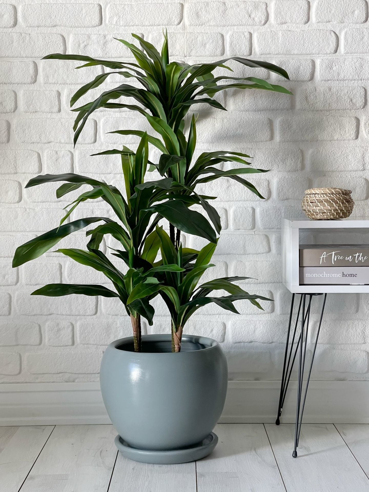 10 Lt Küre Saksı Tabaklı 23cmX23cm Füme
