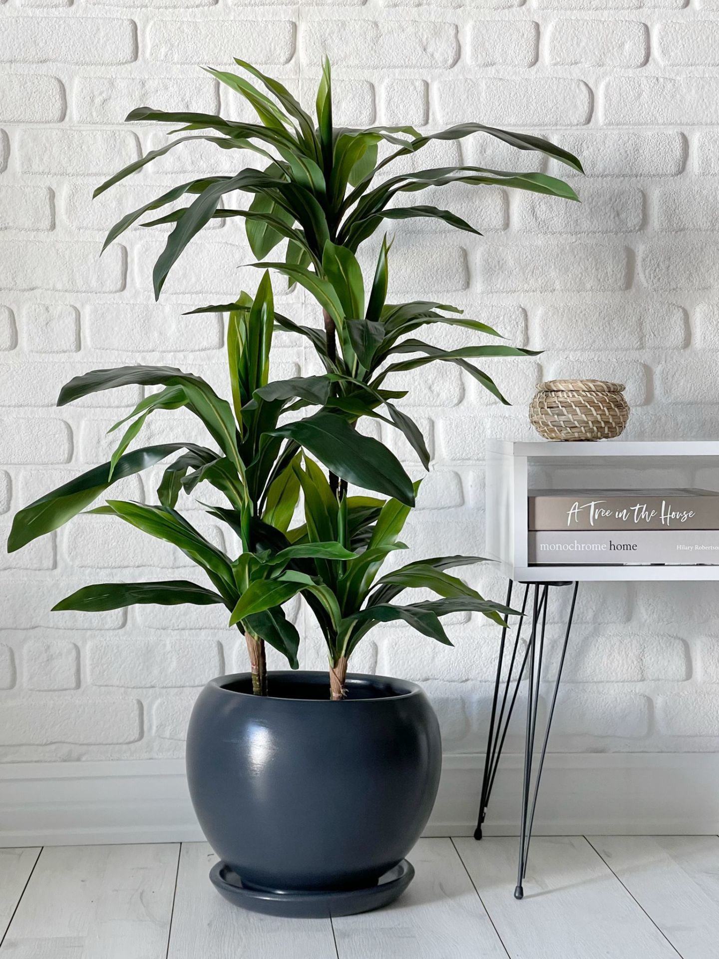 10 Lt Küre Saksı Tabaklı 23cmX23cm Antrasit