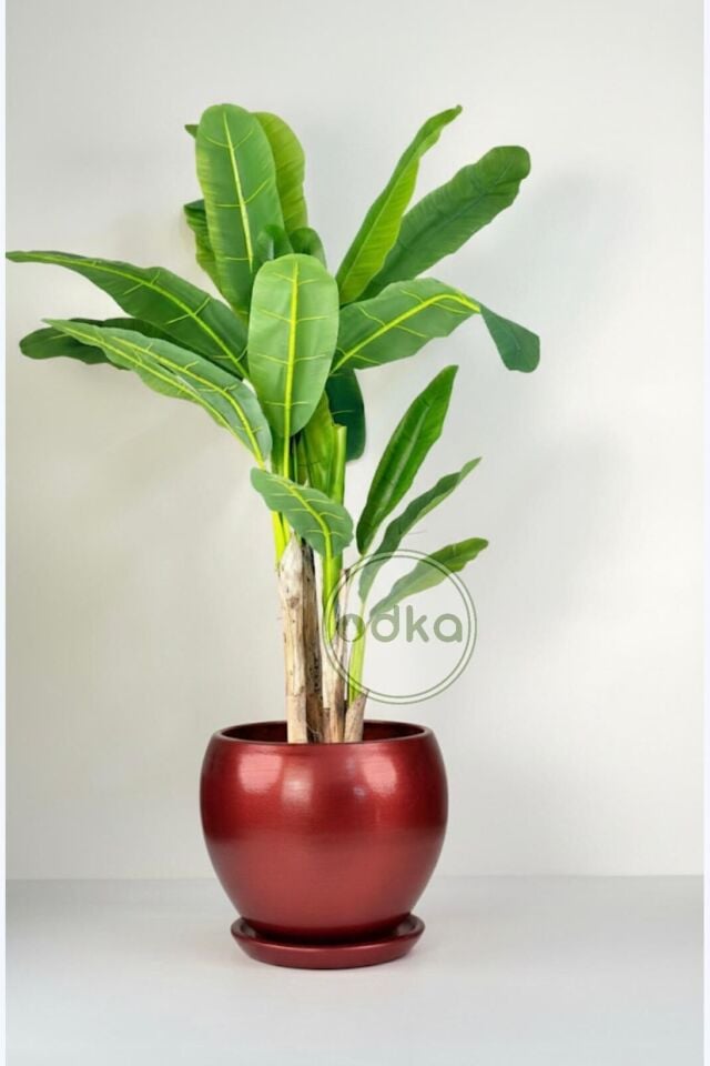 Küre Saksı Tabaklı Yükseklik:27cm Çap:27cm