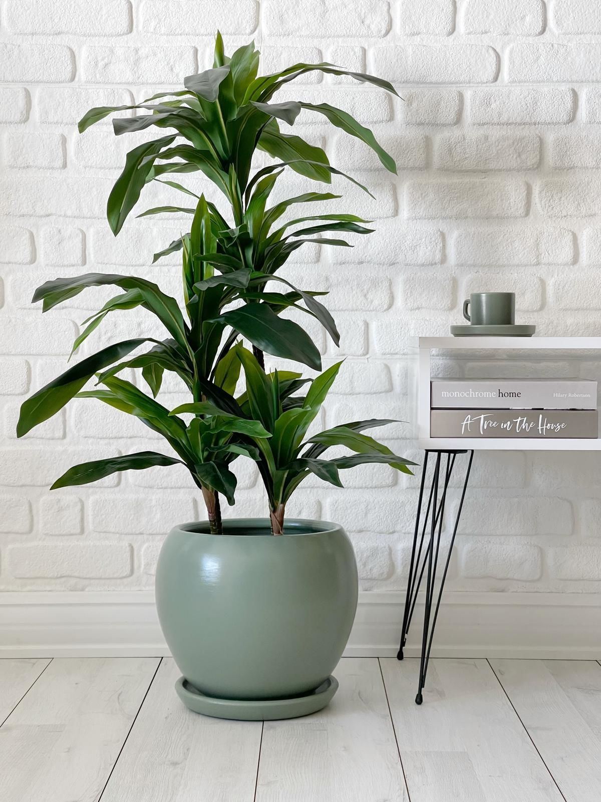 10 Lt Küre Saksı Tabaklı 23cmX23cm Mint Yeşili