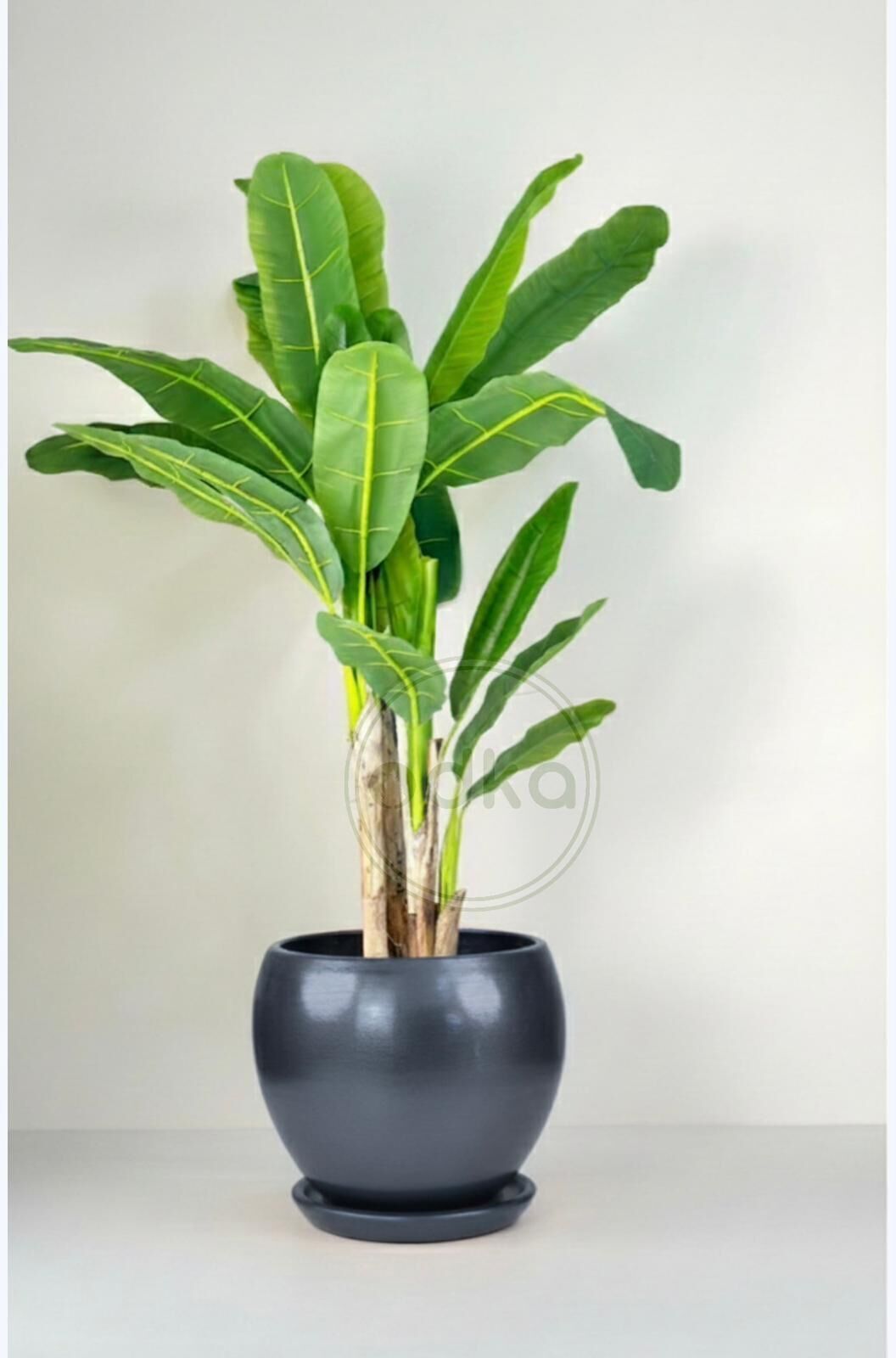 Küre Saksı Tabaklı Yükseklik:27cm Çap:27cm