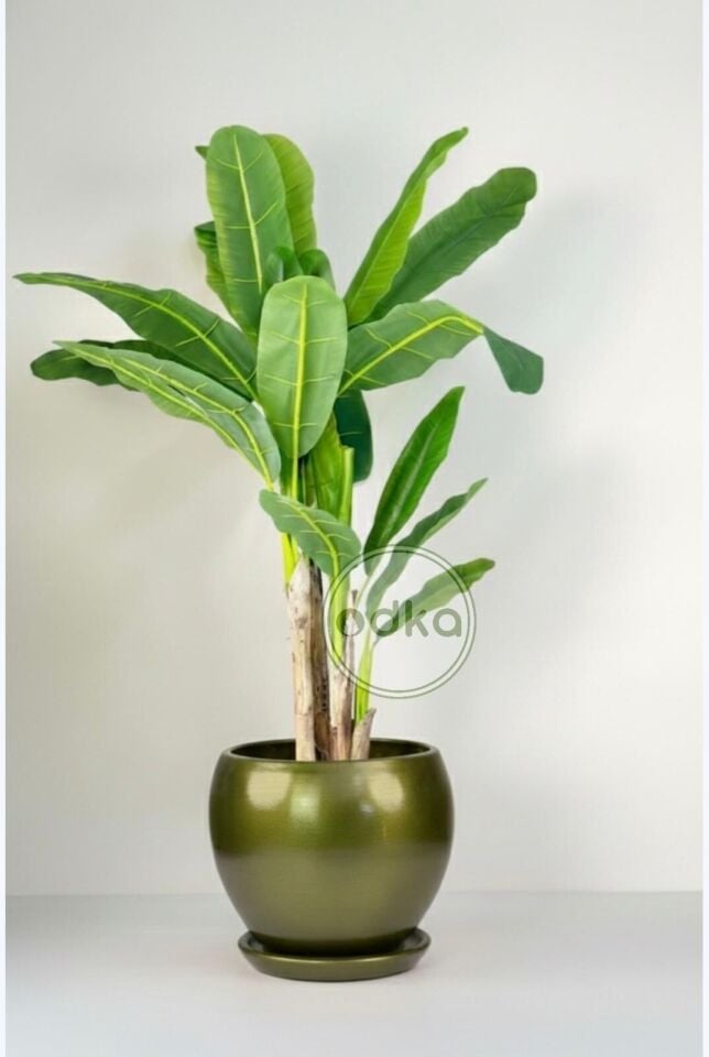 Küre Saksı Tabaklı Yükseklik:27cm Çap:27cm