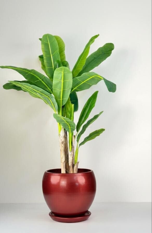 Küre Saksı Tabaklı Yükseklik:27cm Çap:27cm