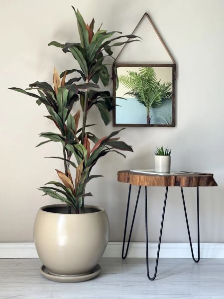 Küre Saksı Tabaklı -Bej