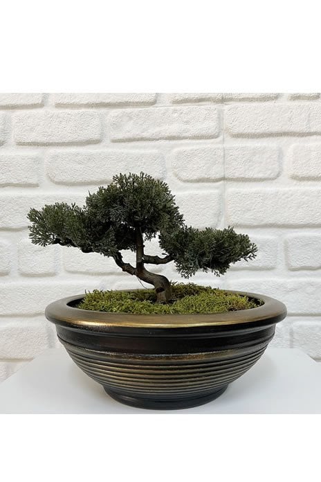 Odka Bonsai/ Çanak Saksı Tabaklı Siyah Gold