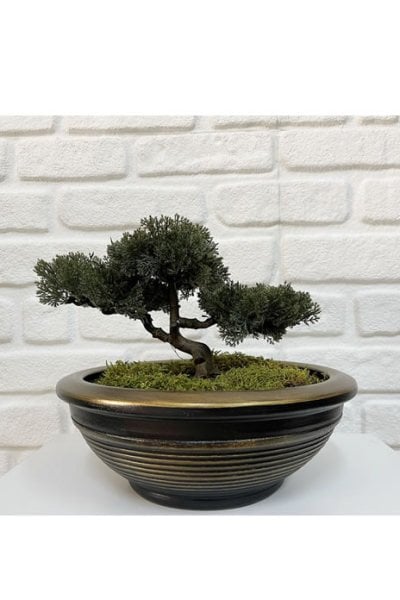 Odka Bonsai/ Çanak Saksı Tabaklı Siyah Gold