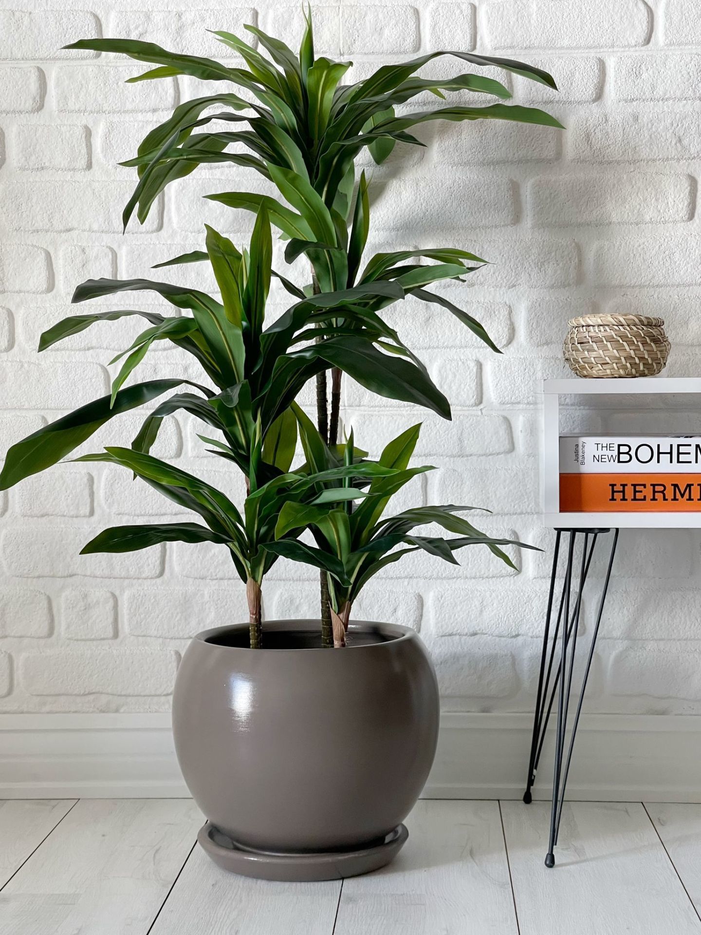 10 Lt Küre Saksı Tabaklı 23cmX23cm Vizon