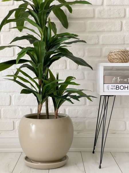 10 Lt Küre Saksı Tabaklı 23cmX23cm