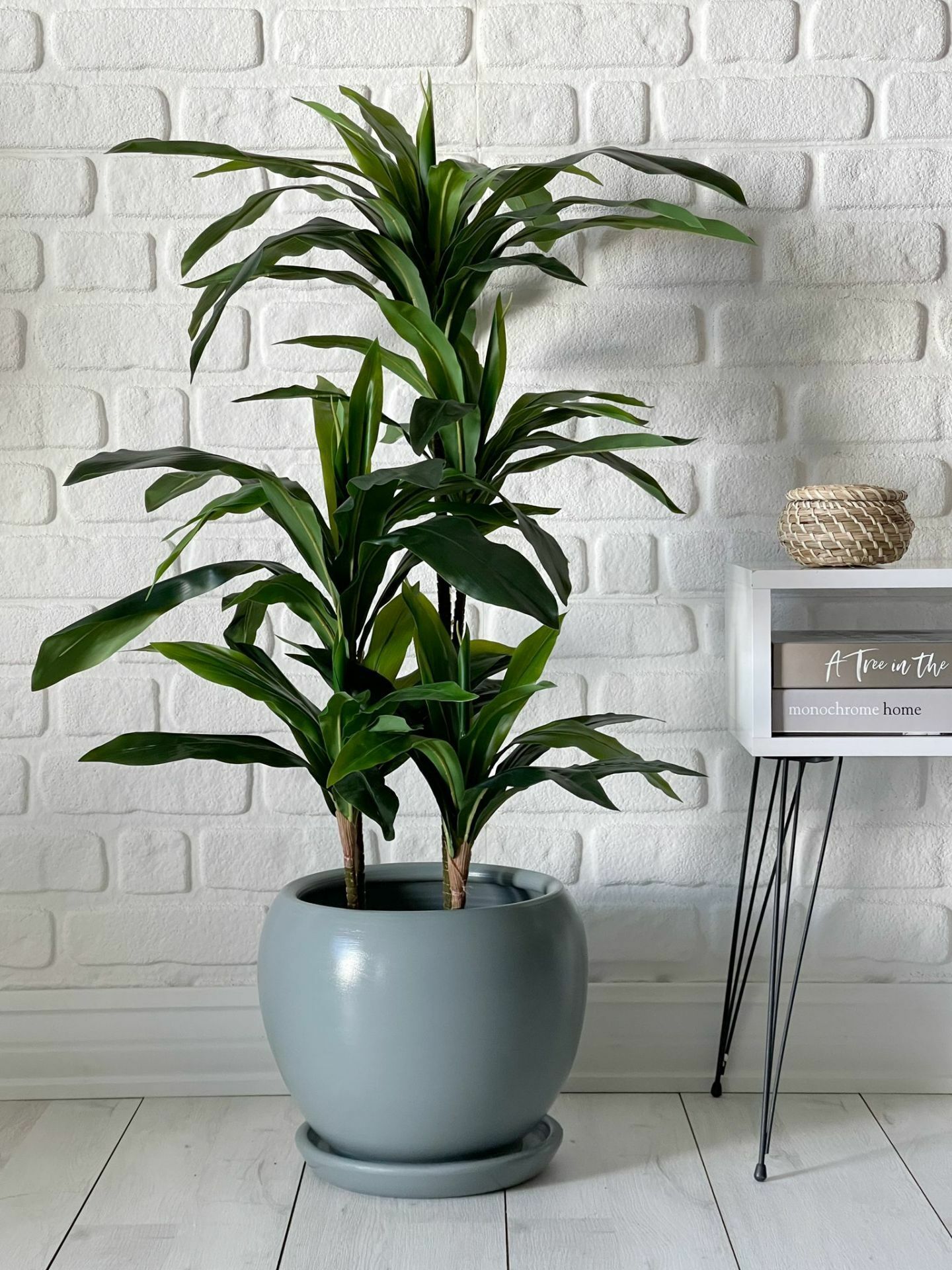 10 Lt Küre Saksı Tabaklı 23cmX23cm Füme