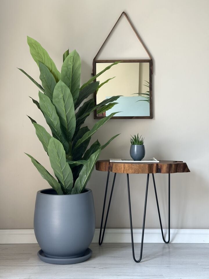 Armut Saksı Tabaklı Yükseklik:25cm Çap:25cm