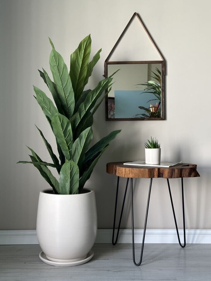 Armut Saksı Tabaklı Yükseklik:25cm Çap:25cm Ekru