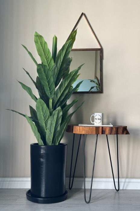 Silindir Saksı Tabaklı Yükseklik 30cm Çap 25cm