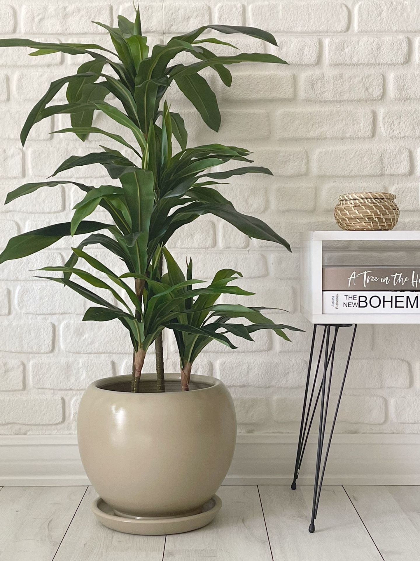 10 Lt Küre Saksı Tabaklı 23cmX23cm Taş