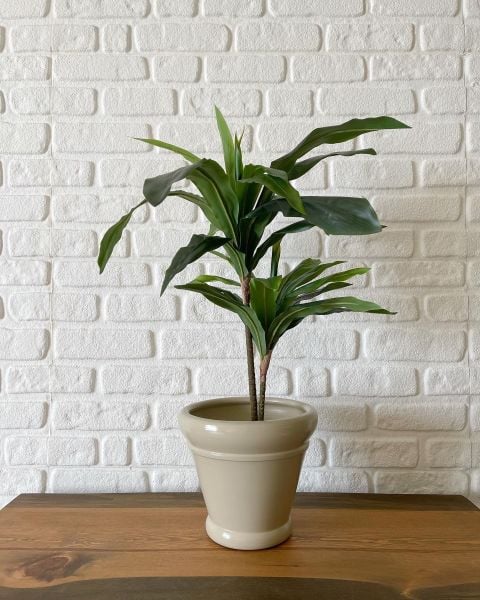 10 Lt İtalyan Saksı Tabaklı Yükseklik 23cm Çap 25cm