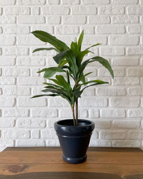 10 Lt İtalyan Saksı Tabaklı Yükseklik 23cm Çap 25cm