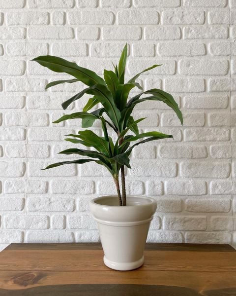 10 Lt İtalyan Saksı Tabaklı Yükseklik 23cm Çap 25cm