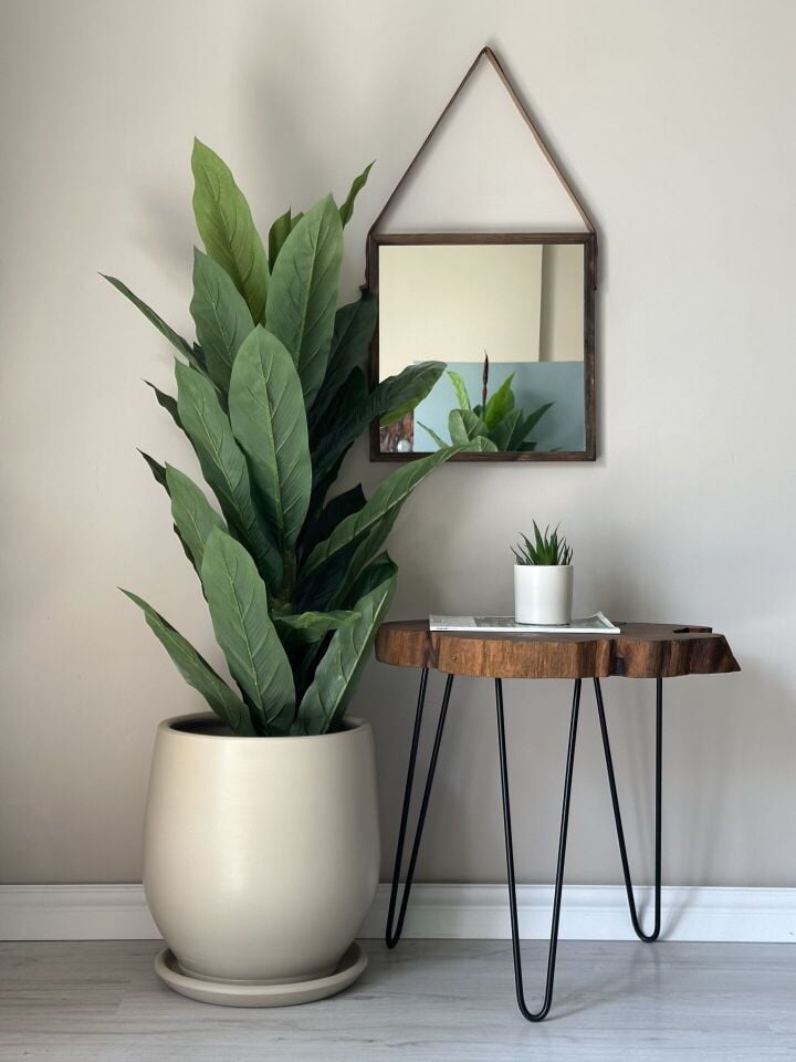 Armut Saksı Tabaklı Yükseklik:25cm Çap:25cm