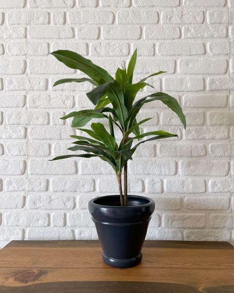 10 Lt İtalyan Saksı Tabaklı Yükseklik 23cm Çap 25cm