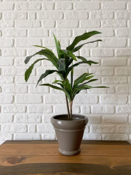10 Lt İtalyan Saksı Tabaklı Yükseklik 23cm Çap 25cm