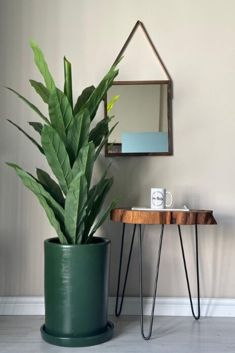 Silindir Saksı Tabaklı Yükseklik 30cm Çap 25cm