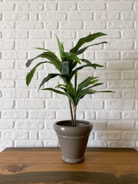 10 Lt İtalyan Saksı Tabaklı Yükseklik 23cm Çap 25cm