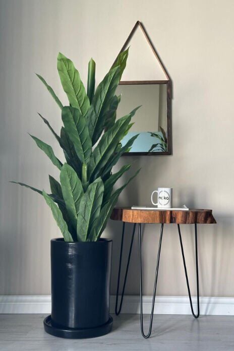 Silindir Saksı Tabaklı Yükseklik 25cm Çap 20cm