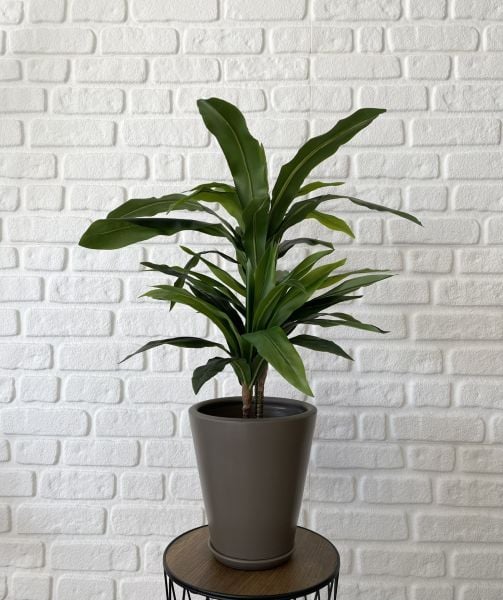 10 Lt Uzun Konik  Saksı Tabaklı Yükseklik 22cm Çap 24cm