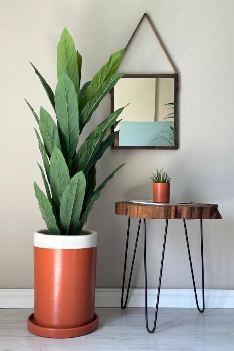 Silindir Saksı Tabaklı Yükseklik 25cm Çap 20cm