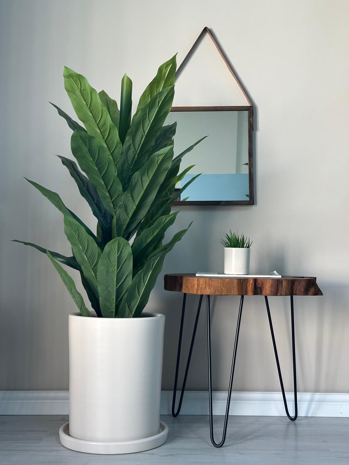 Silindir Saksı Tabaklı Yükseklik 25cm Çap 20cm Ekru