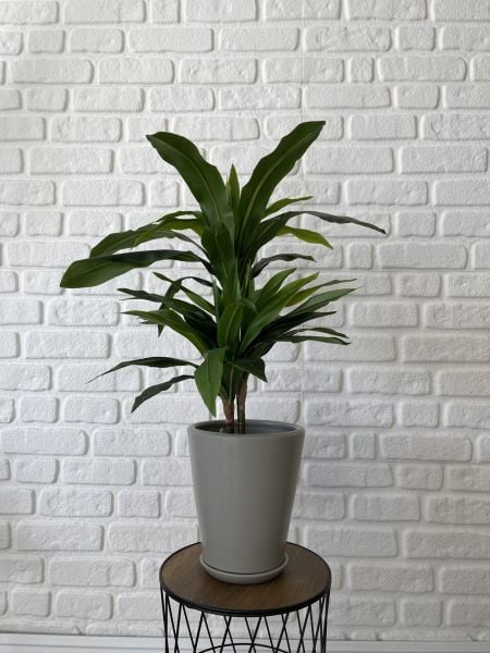 10 Lt Uzun Konik  Saksı Tabaklı Yükseklik 22cm Çap 24cm