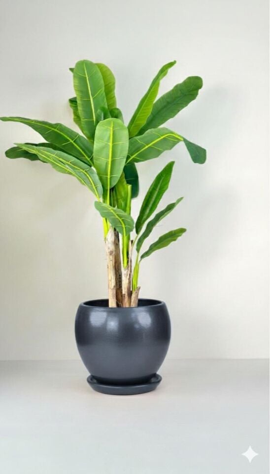 Küre Saksı Tabaklı Yükseklik:27cm Çap:27cm