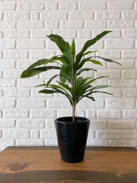10 Lt Uzun Konik  Saksı Tabaklı Yükseklik 22cm Çap 24cm