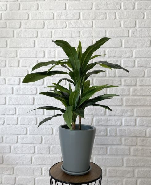 10 Lt Uzun Konik  Saksı Tabaklı Yükseklik 22cm Çap 24cm