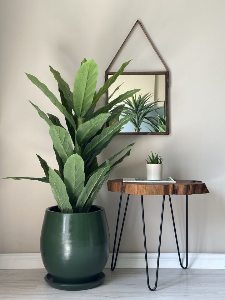 Armut Saksı Tabaklı Yükseklik:25cm Çap:25cm Koyu Yeşil