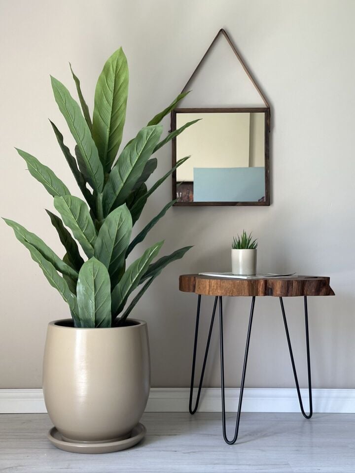 Armut Saksı Tabaklı Yükseklik:23cm Çap:23cm