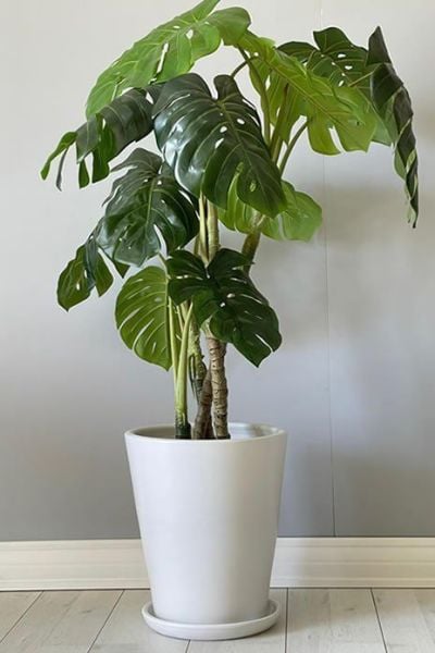 40 Litre Uzun Konik Saksı Tabaklı Yükseklik:40cmX Çap:40cm