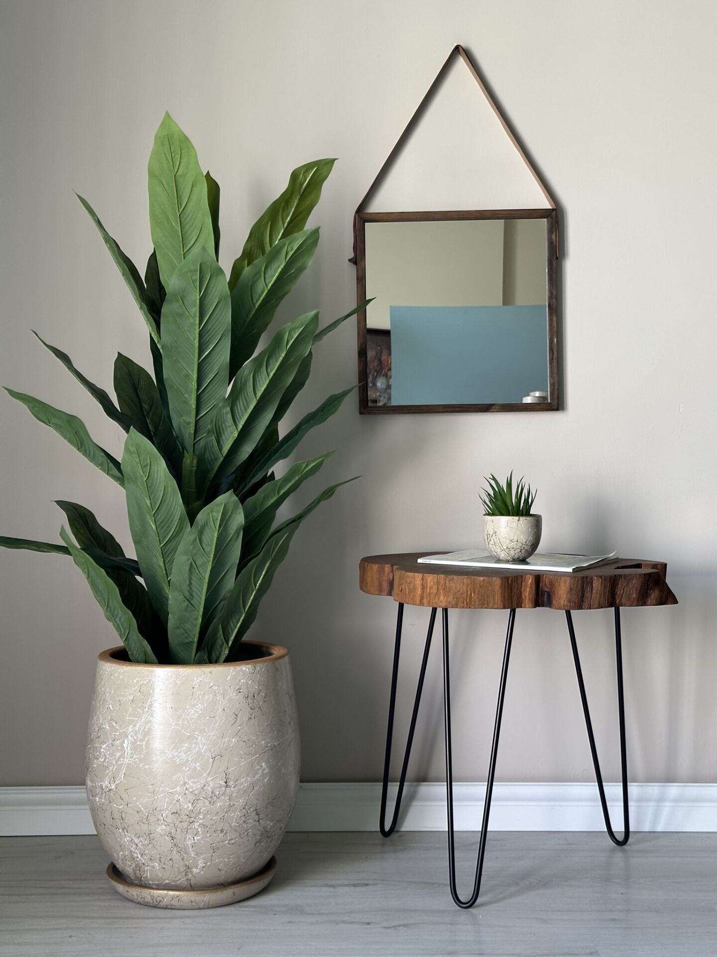 Armut Saksı Tabaklı Yükseklik:23cm Çap:23cm