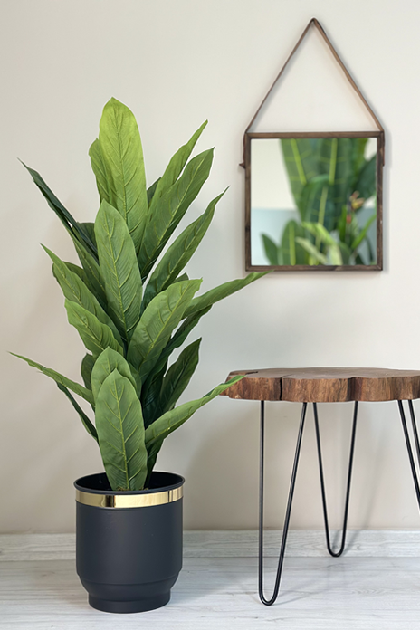 Yapay Bitki Difenbahya Ağacı 130cm Metal Saksılı Antrasit Gold