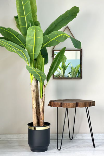 Yapay Bitki Geniş Yapraklı Muz Ağacı 210cm Metal Saksılı Antrasit Gold