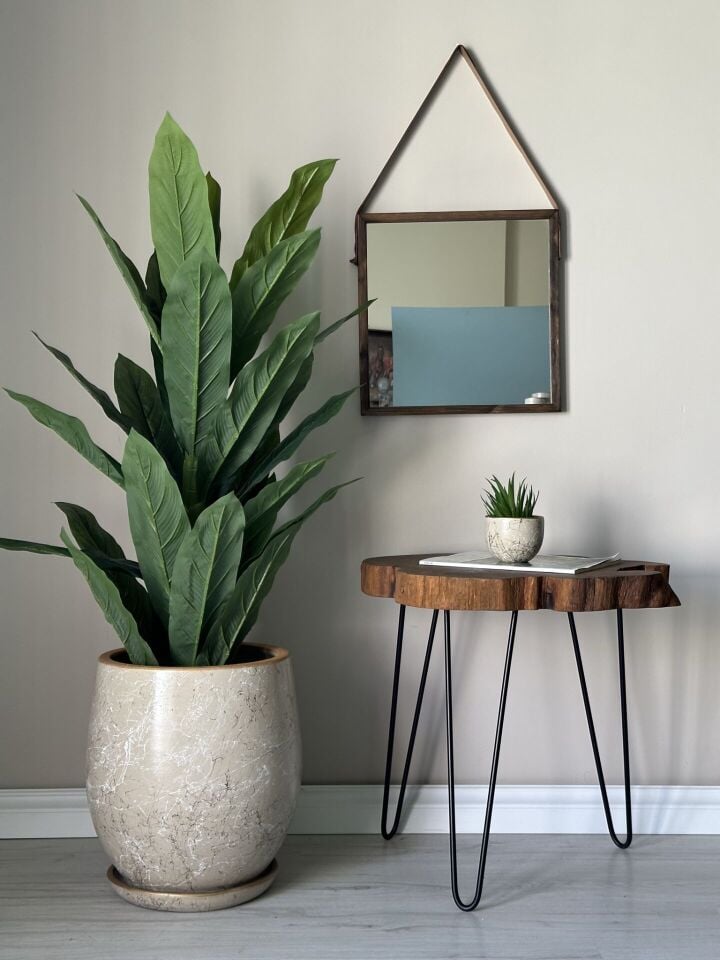 Armut Saksı Tabaklı Yükseklik:23cm Çap:23cm