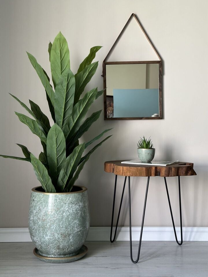 Armut Saksı Tabaklı Yükseklik:23cm Çap:23cm