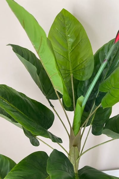 Yapay Bitki Çiçekli Starliçe Metal Saksılı Antrasit Gold