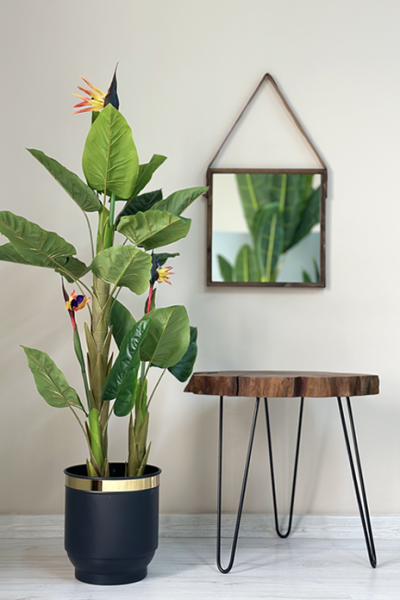 Yapay Bitki Çiçekli Starliçe Metal Saksılı Antrasit Gold