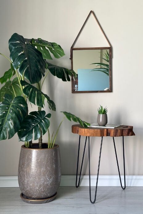 Armut Saksı Tabaklı Lily- Vizon Beyaz Gold