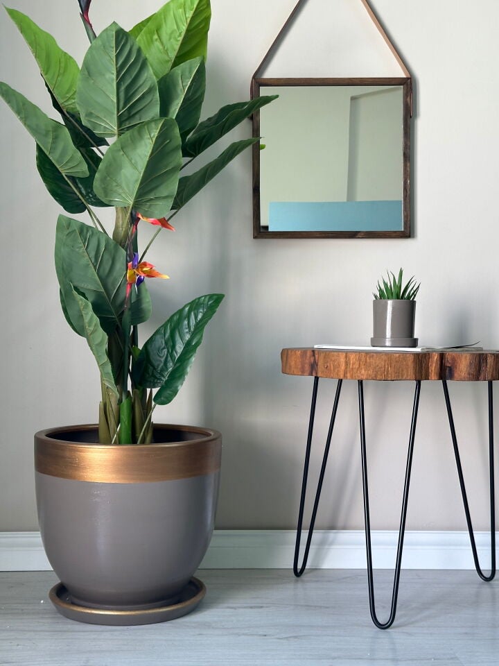 Klasik Saksı Tabaklı-Vizon Gold