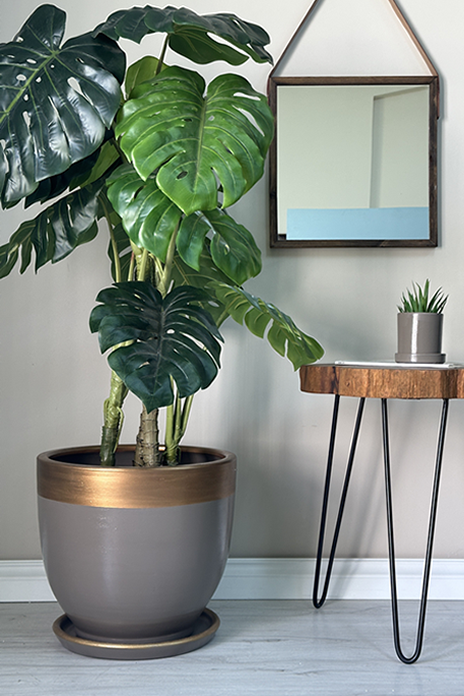 Klasik Saksı-Vizon Gold