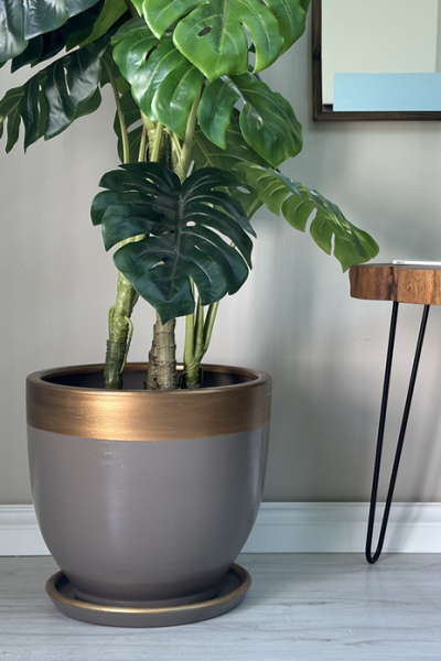 Klasik Saksı-Vizon Gold