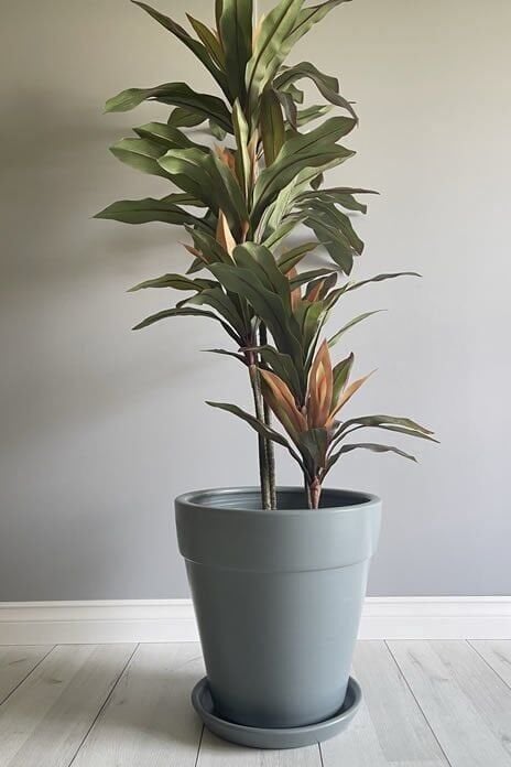 Kalın Dudaklı Konik Saksı Tabaklı Yükseklik:30cm Çap:32cm Füme