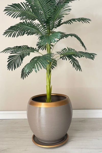 Küre Saksı-Çizgili Vizon Gold