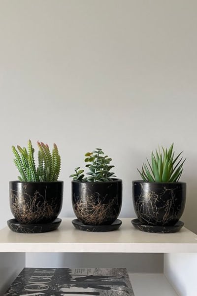 3lü Kaktüs Saksı Seti Tabaklı Siyah Gold Mermer Desenli Yükseklik 10cm Çap 12cm